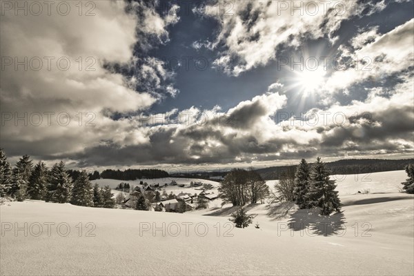 Winter landscape