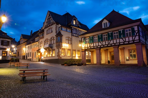 Half-timbered houses