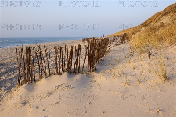 Sticks as a protective fence in front of the dunes