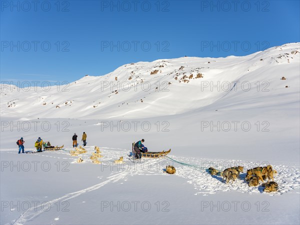 Inuit with their dog sled teams and ski tourers