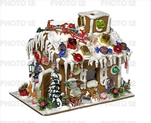 Ginger Bread House