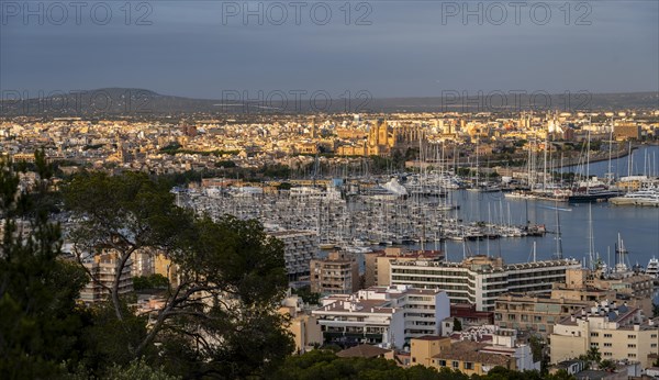 View over Palma de Majorca in the evening light