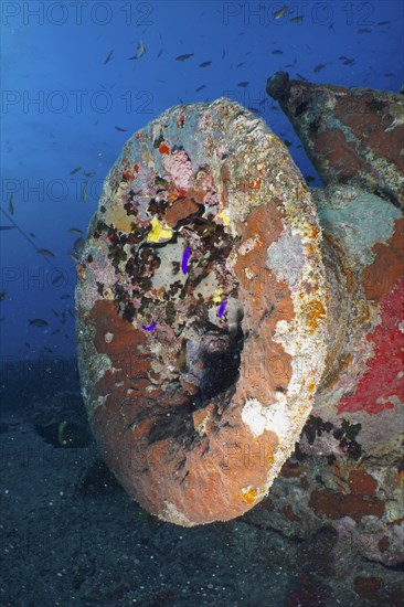 Buffers from the tender of a steam locomotive on the loading area of the Thistlegorm. Dive site Thistlegorm wreck