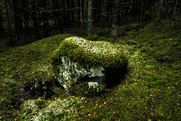 Mystical looking large stone