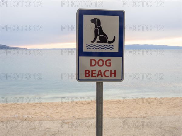 Beach for dogs