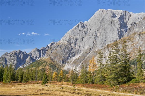 Autumn in the mountains