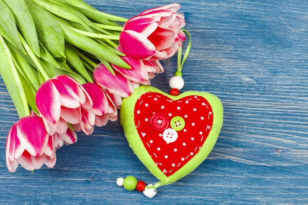 Tulips on blue background and heart with buttons
