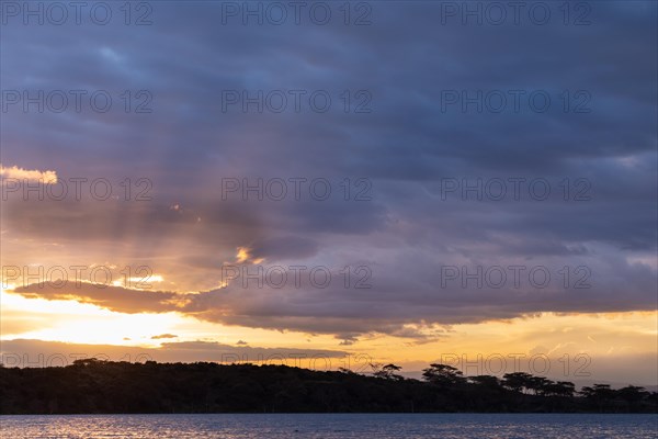 Sunbeams over a lake