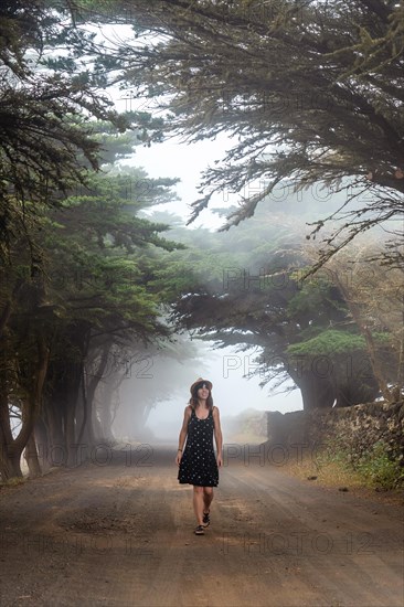 A woman walking through foggy trees towards the juniper forest in El Hierro. Canary Islands