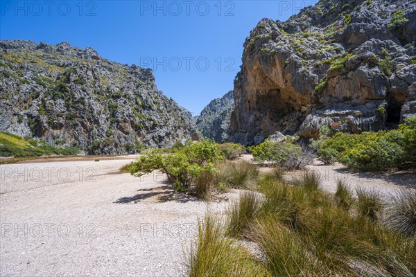 Torrent de Pareis river gorge