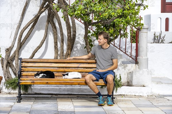 Young man sitting on a bench with sleeping cats