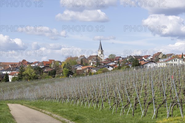 Village of Neckarwestheim with church tower