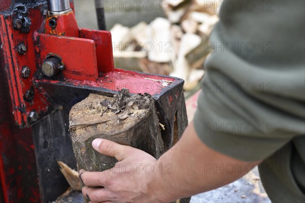 Worker making firewood with a log splitter