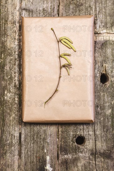 Hazelnut branch on wrapping paper