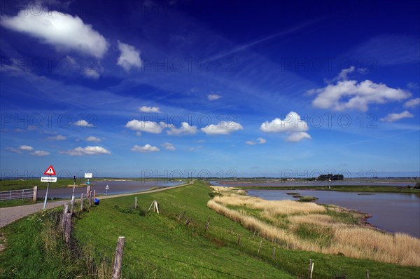 Cycle path on dike leads past wetlands