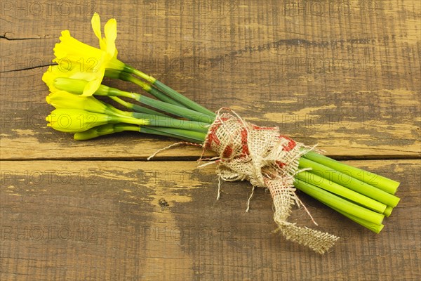 Bouquet of daffodils tied together with linen