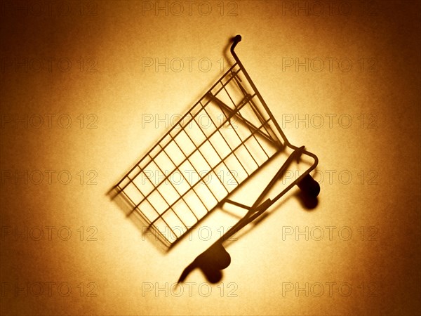 Shopping cart