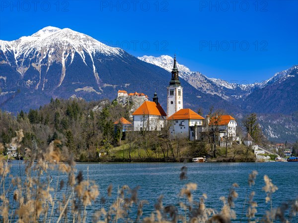 Bled Castle