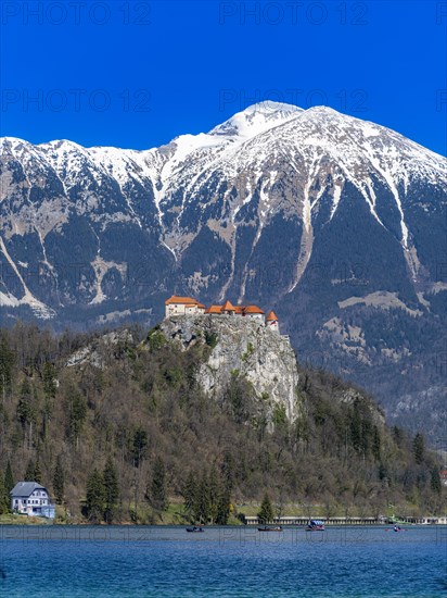 Bled Castle on Lake Bled