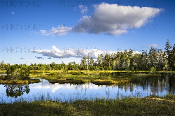 The Wildsee with its small islands in the Wildseemoor on a sunny day