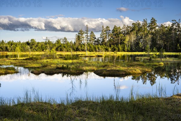 The Wildsee with its small islands in the Wildseemoor on a sunny day