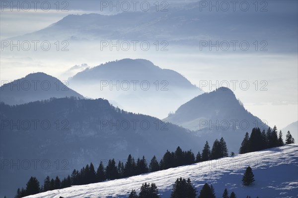 View of Lake Lucerne from the Riggi