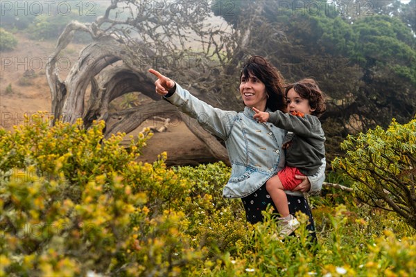 Mother and son looking at the flowers next to a Sabinar tree twisted by the wind of El Hierro and foggy. Canary Islands