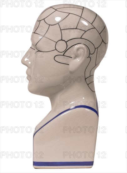 Phrenology head