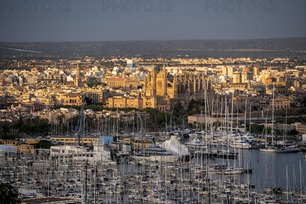 View over Palma de Majorca in the evening light