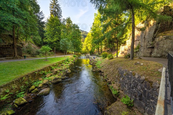 Course of the river Enz in summer