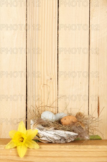 Easter nest made of a shell with eggs