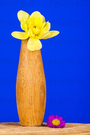 Wooden Vase with Daffodil and Aster Blossom
