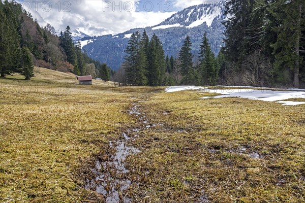 Landscape below the Engenkopf