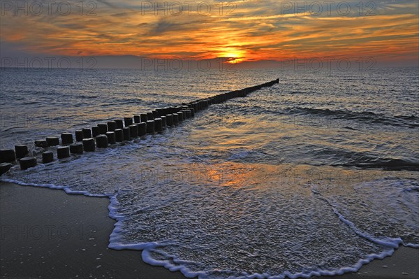 Beach with groyne in the Baltic Sea on the western beach of Darss in the evening sun