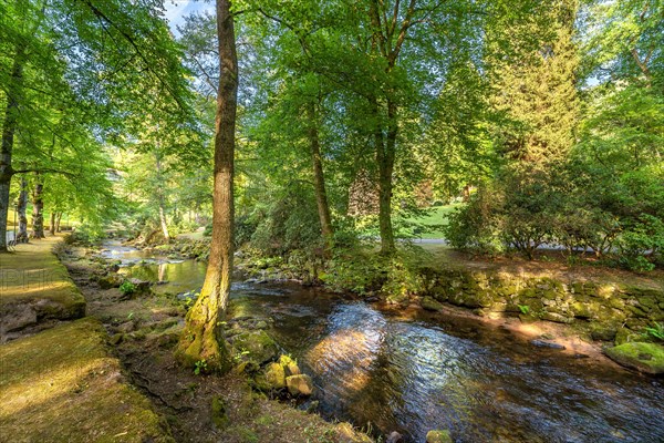 Course of the river Enz in summer