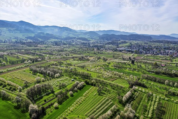 Spring in the Renchtal in the Ortenau