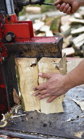 Worker making firewood with a log splitter