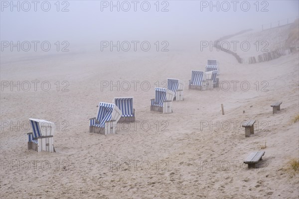 Empty beach chairs on a sandy beach