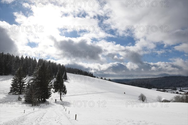 Winter landscape