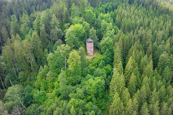 Aerial view of Fautsburg in the green forest
