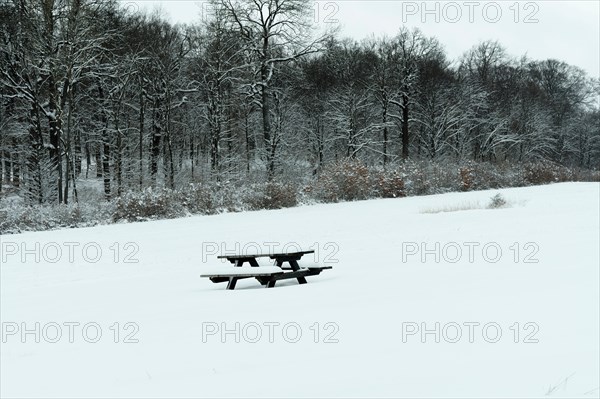 Table with bench in the middle of a snowy meadow with a dark forest in the background