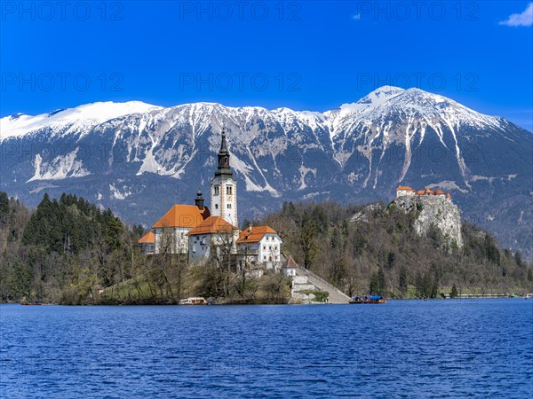 Bled Castle