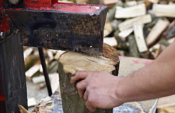 Worker making firewood with a log splitter