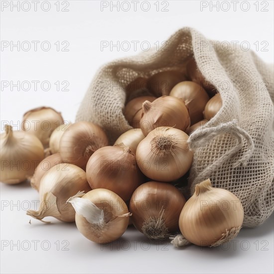 Old sack with onions