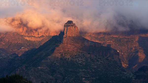 Pink evening light