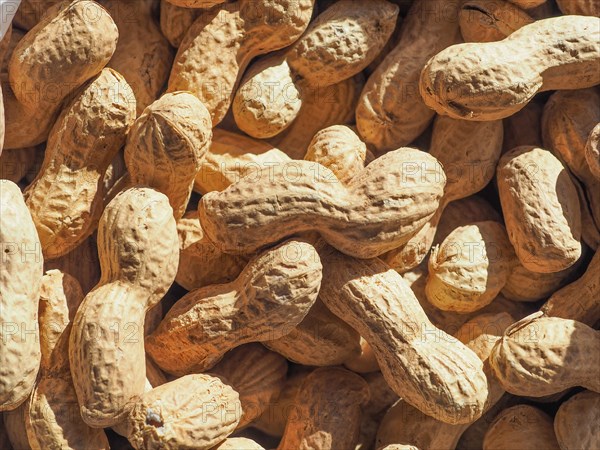 Peanuts food background