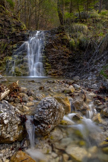 Mountain stream with waterfall in the Kalkalpen National Park