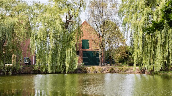 Village pond