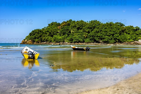 Stunning Withe beach in bertioga in state of Sao Paulo with rainforest