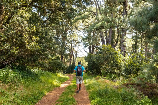 A young man on a nature trail in La Llania on El Hierro